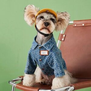 Pucci designer dog Jean denim Jacket NWT